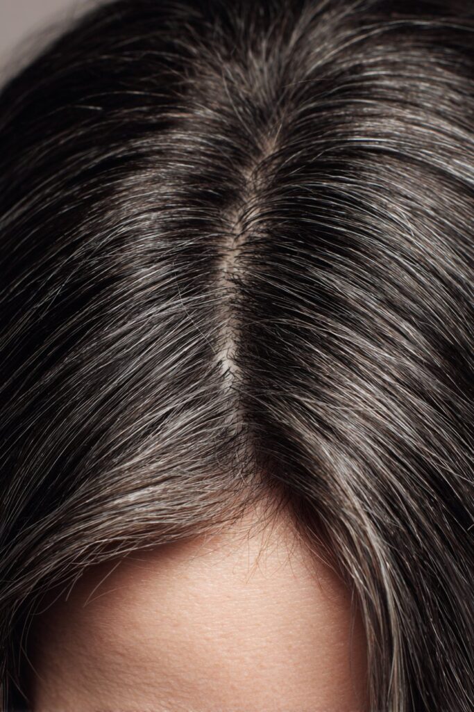 Grey Blending on Dark Hair